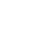 Hayashi logo.